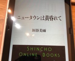 ニュータウンは黄昏れて